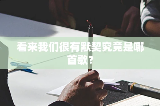 看来我们很有默契究竟是哪首歌？