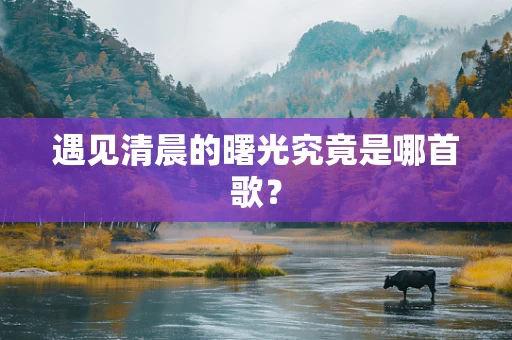 遇见清晨的曙光究竟是哪首歌？