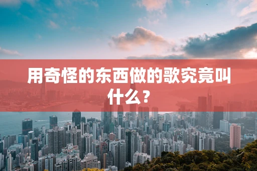 用奇怪的东西做的歌究竟叫什么？