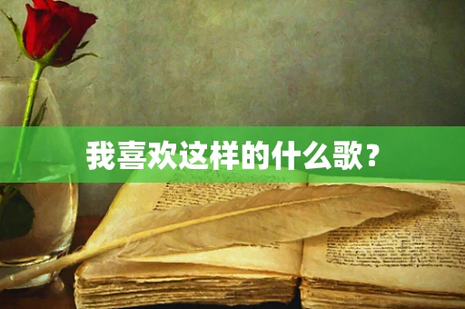 我喜欢这样的什么歌？