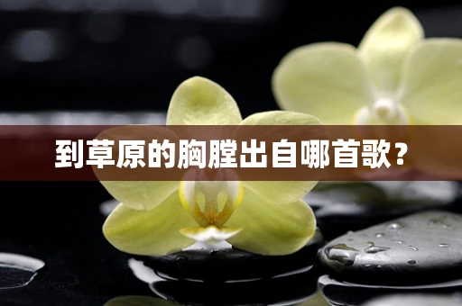 到草原的胸膛出自哪首歌？