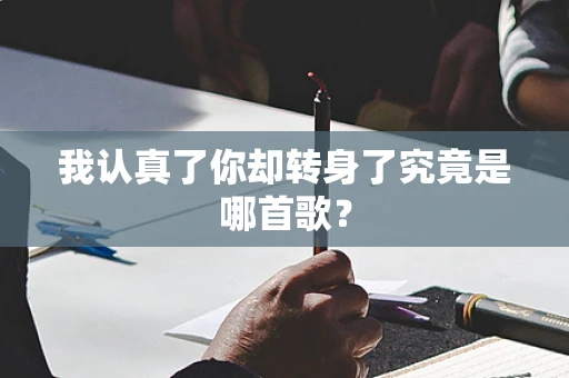 我认真了你却转身了究竟是哪首歌？