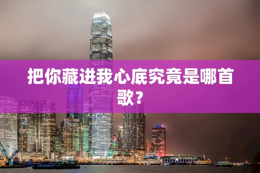 把你藏进我心底究竟是哪首歌？
