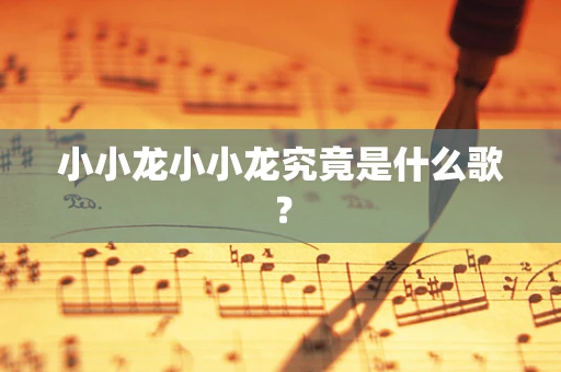 小小龙小小龙究竟是什么歌？