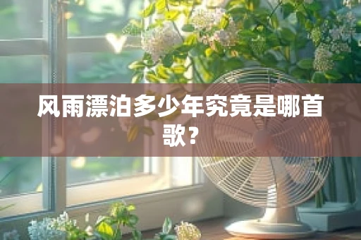 风雨漂泊多少年究竟是哪首歌？