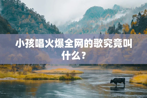 小孩唱火爆全网的歌究竟叫什么？