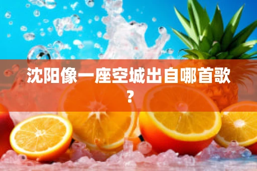 沈阳像一座空城出自哪首歌？