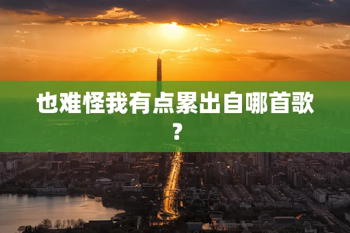 也难怪我有点累出自哪首歌？