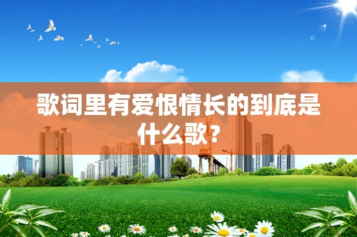 歌词里有爱恨情长的到底是什么歌？