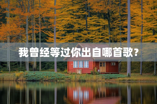 我曾经等过你出自哪首歌？