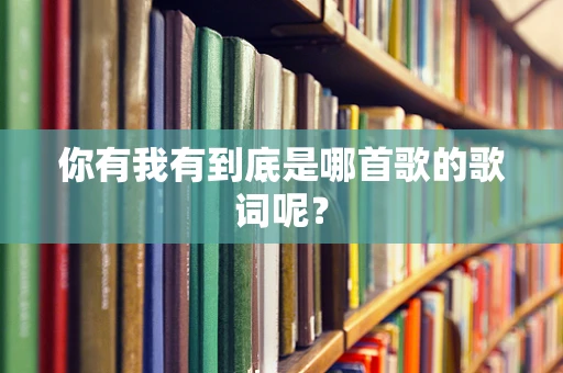 你有我有到底是哪首歌的歌词呢？
