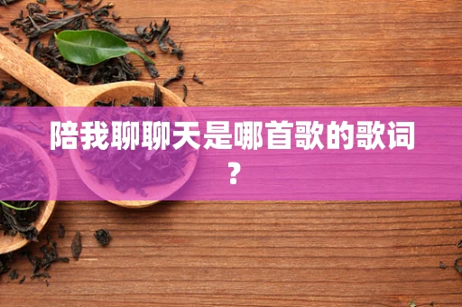 陪我聊聊天是哪首歌的歌词？