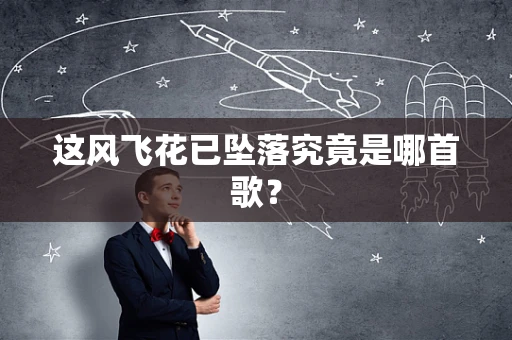这风飞花已坠落究竟是哪首歌？