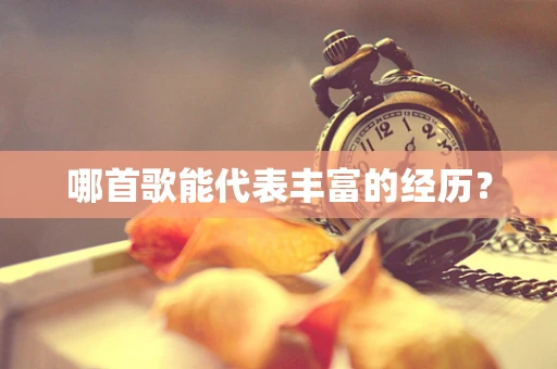 哪首歌能代表丰富的经历？
