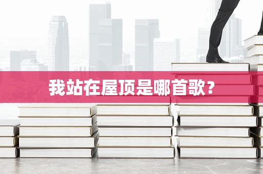 我站在屋顶是哪首歌？