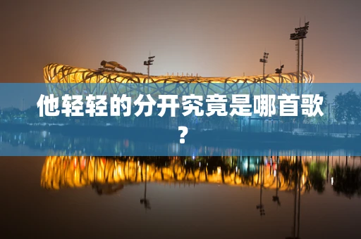 他轻轻的分开究竟是哪首歌？