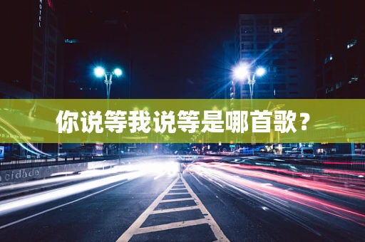 你说等我说等是哪首歌？