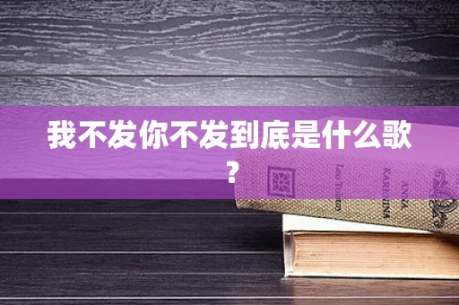 我不发你不发到底是什么歌？