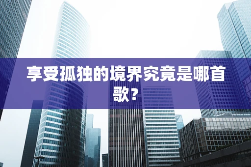 享受孤独的境界究竟是哪首歌？