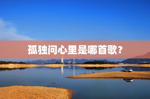 孤独问心里是哪首歌？