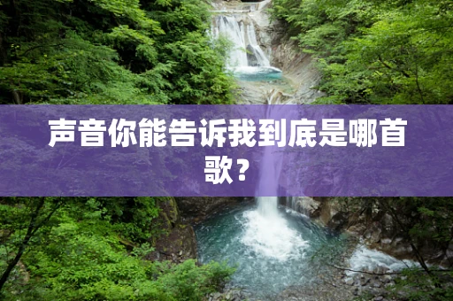 声音你能告诉我到底是哪首歌？