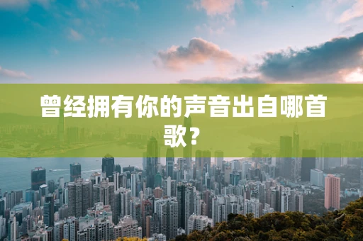 曾经拥有你的声音出自哪首歌？