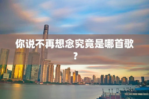 你说不再想念究竟是哪首歌？