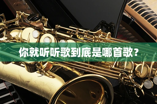 你就听听歌到底是哪首歌？