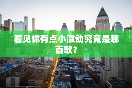 看见你有点小激动究竟是哪首歌？