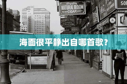海面很平静出自哪首歌？