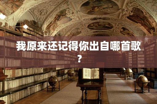 我原来还记得你出自哪首歌？