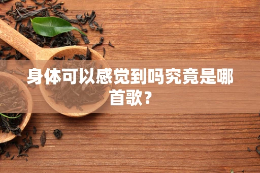 身体可以感觉到吗究竟是哪首歌？