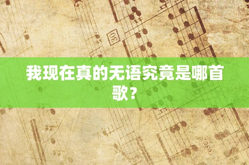 我现在真的无语究竟是哪首歌？
