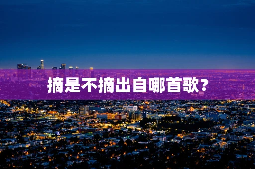 摘是不摘出自哪首歌？