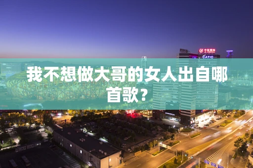 我不想做大哥的女人出自哪首歌？