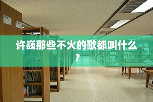 许巍那些不火的歌都叫什么？
