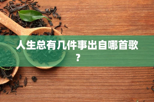 人生总有几件事出自哪首歌？
