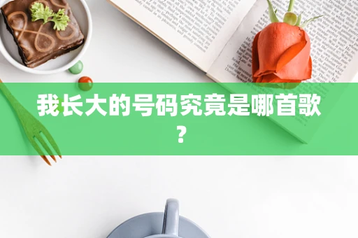 我长大的号码究竟是哪首歌？