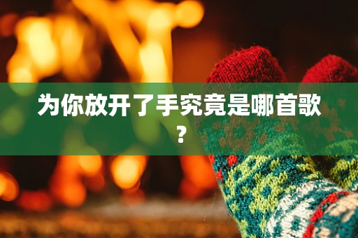 为你放开了手究竟是哪首歌？