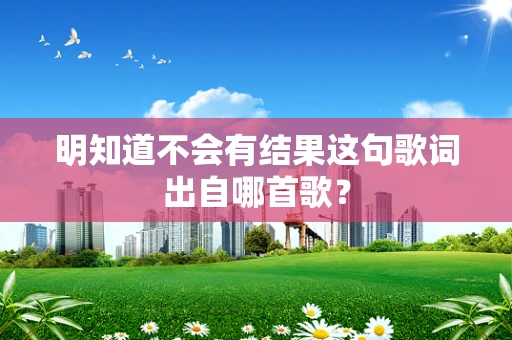明知道不会有结果这句歌词出自哪首歌？