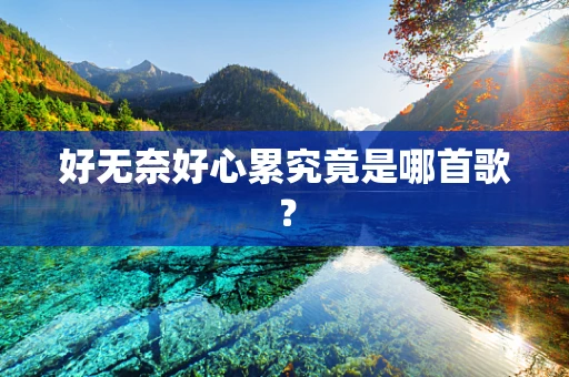 好无奈好心累究竟是哪首歌？