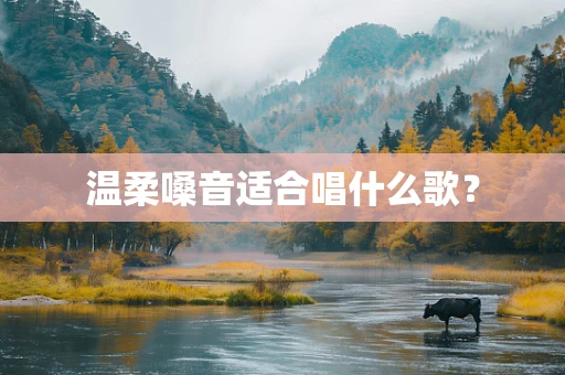 温柔嗓音适合唱什么歌？