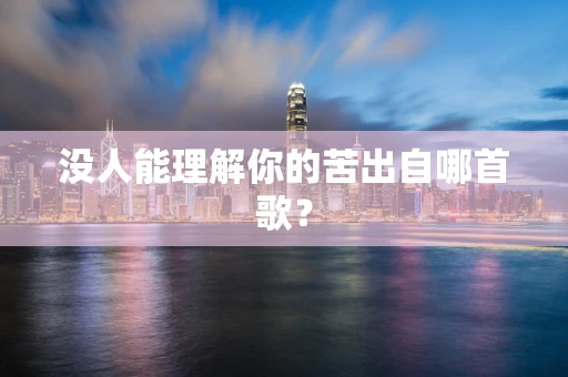 没人能理解你的苦出自哪首歌？