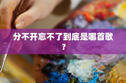 分不开忘不了到底是哪首歌？