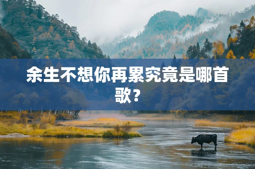 余生不想你再累究竟是哪首歌？