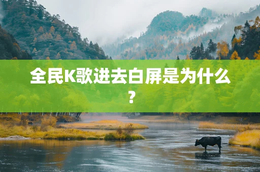 全民K歌进去白屏是为什么？