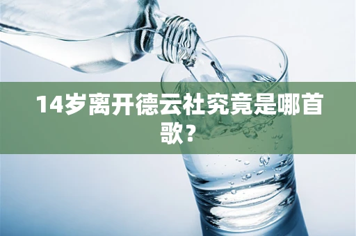 14岁离开德云社究竟是哪首歌？