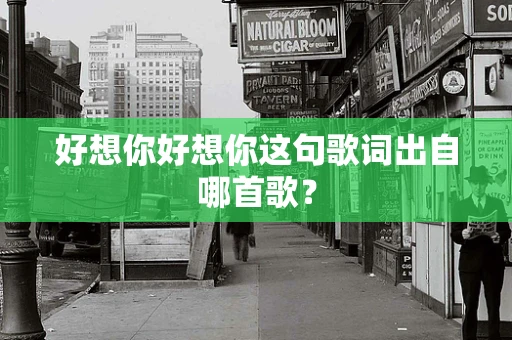 好想你好想你这句歌词出自哪首歌？