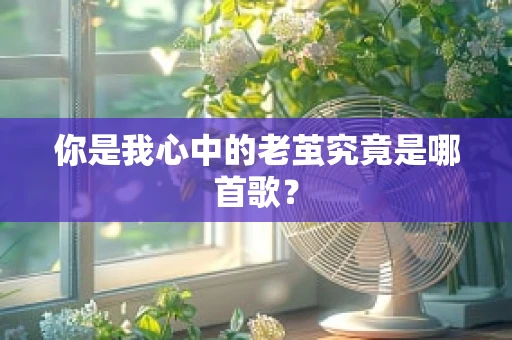 你是我心中的老茧究竟是哪首歌？