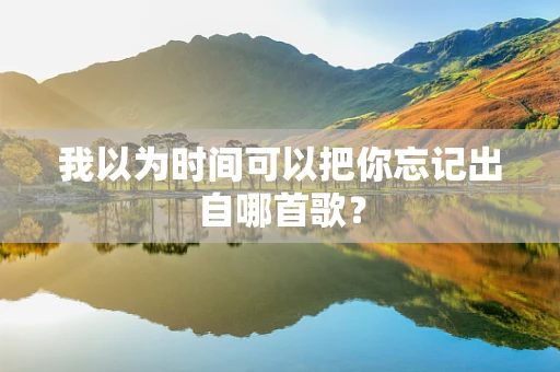 我以为时间可以把你忘记出自哪首歌？